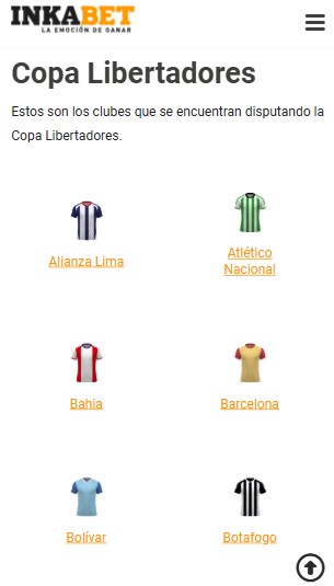 Copa Libertadores