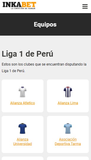 Liga 1 de Per&uacute;